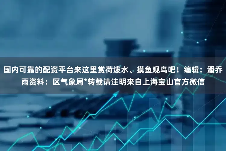 国内可靠的配资平台来这里赏荷泼水、摸鱼观鸟吧！编辑：潘乔雨资料：区气象局*转载请注明来自上海宝山官方微信