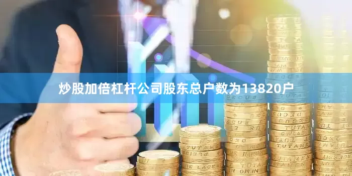 炒股加倍杠杆公司股东总户数为13820户