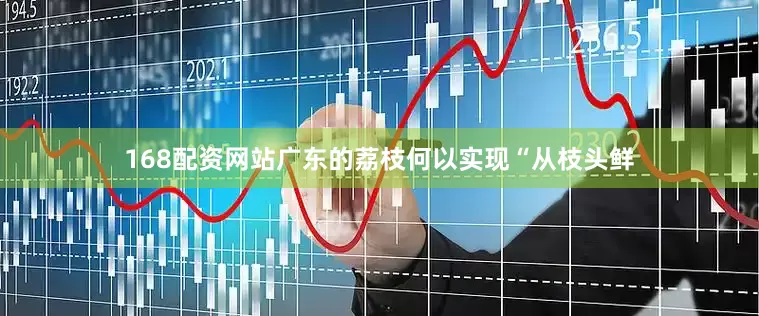 168配资网站广东的荔枝何以实现“从枝头鲜
