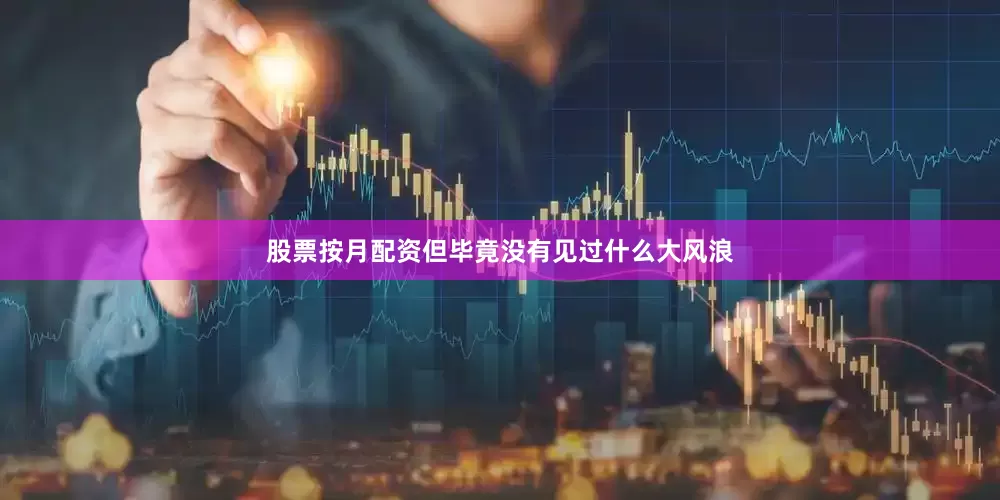 股票按月配资但毕竟没有见过什么大风浪