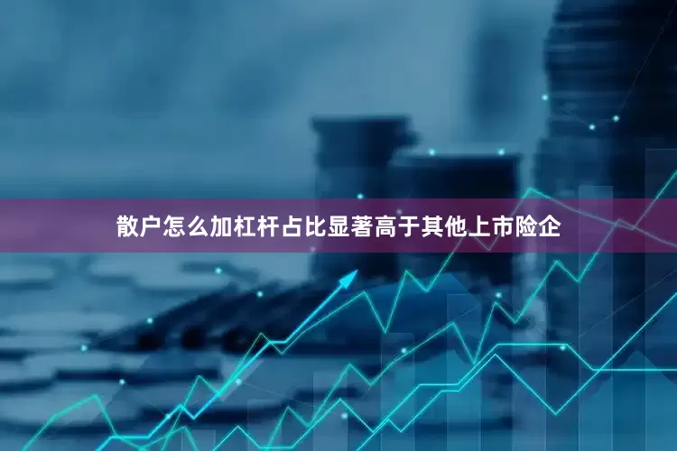 散户怎么加杠杆占比显著高于其他上市险企