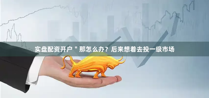 实盘配资开户"那怎么办?后来想着去投一级市场