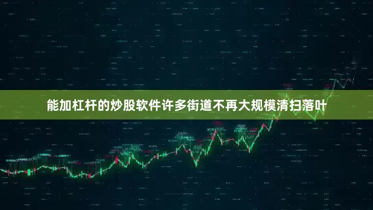 能加杠杆的炒股软件许多街道不再大规模清扫落叶